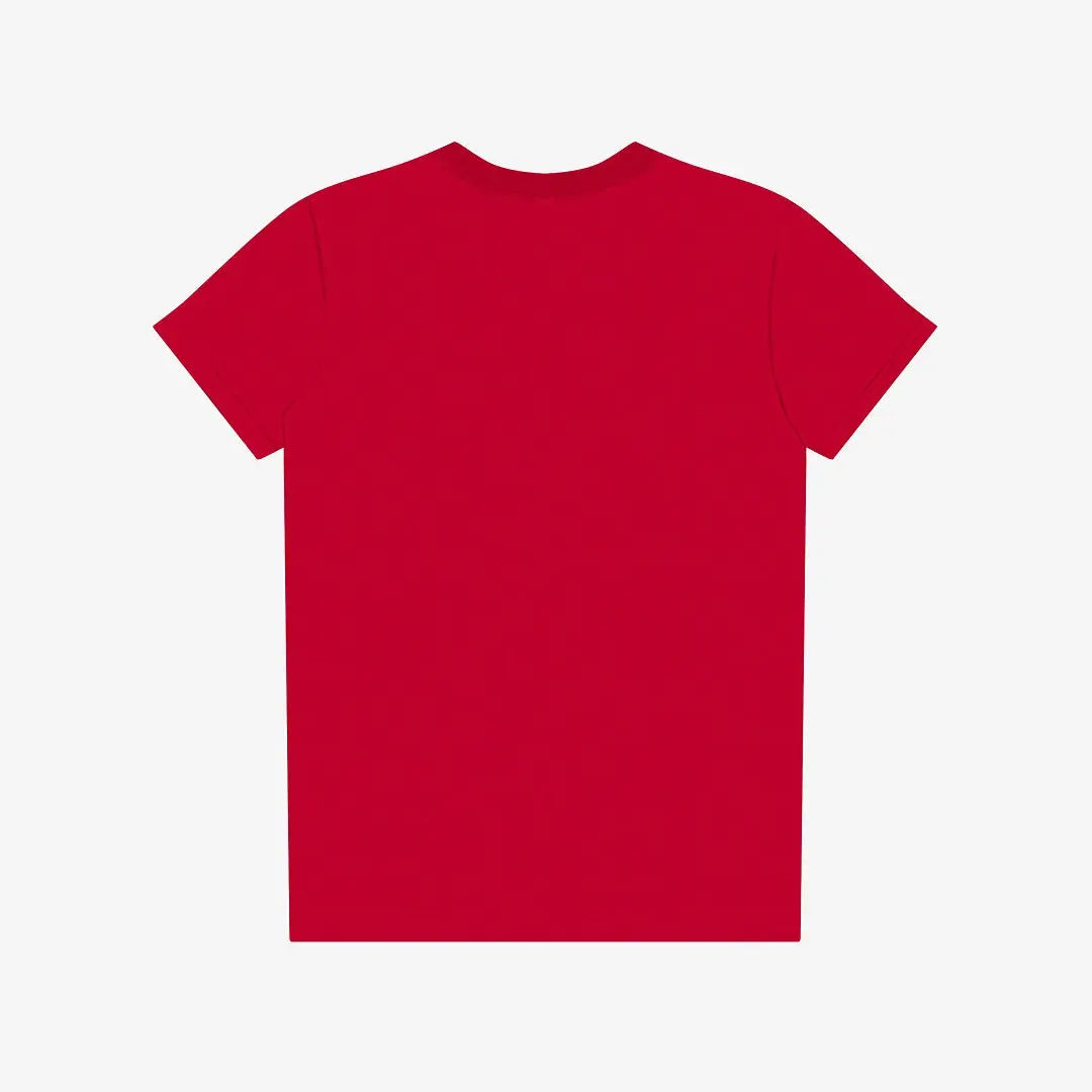 Bella + Canvas Youth Jersey Short Sleeve Tee - 3001Y Red Picasso Print