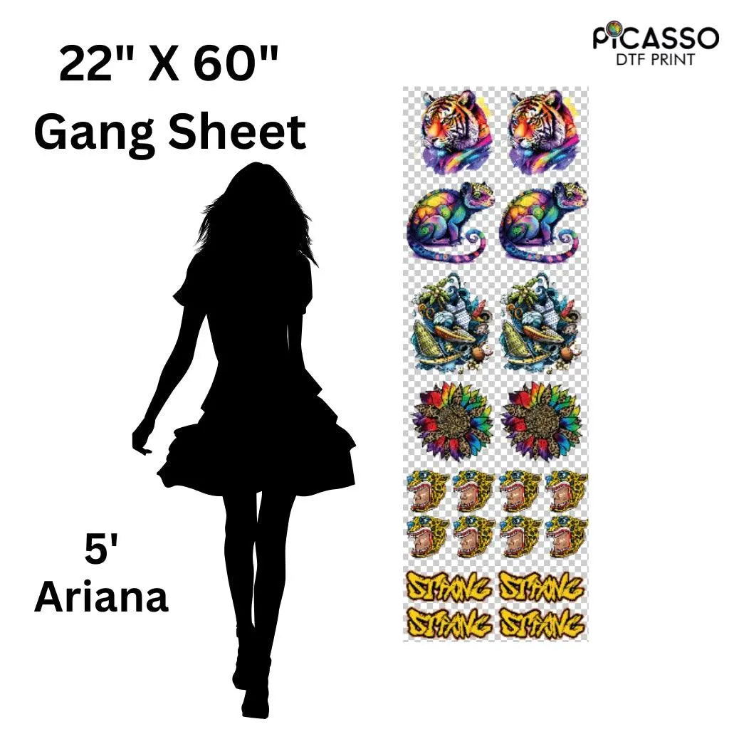 Custom Gang Sheet DTF - Upload a Pre-Made Sheet - Picasso Print