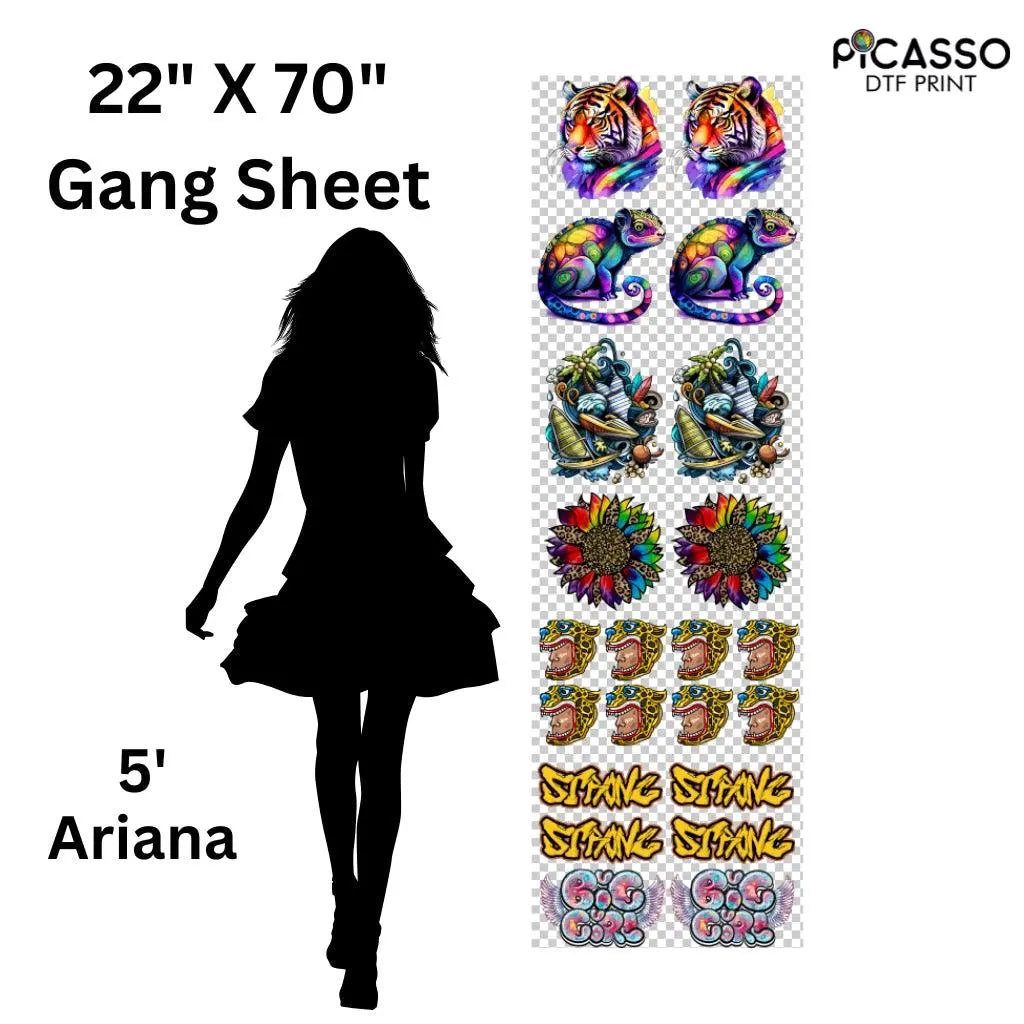 Custom Gang Sheet DTF - Upload a Pre-Made Sheet - Picasso Print