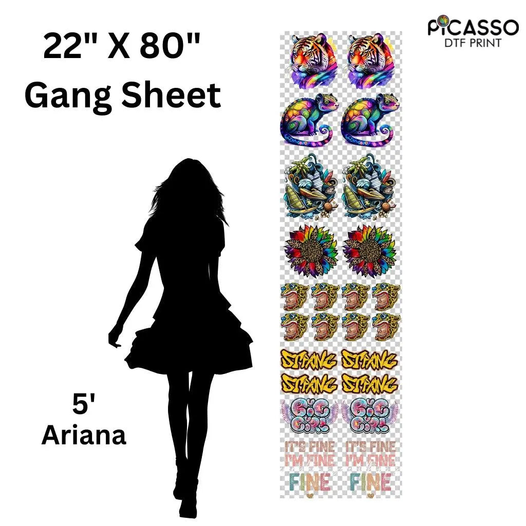 Custom Gang Sheet DTF - Upload a Pre-Made Sheet - Picasso Print
