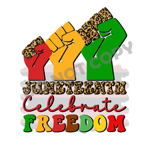 Celebrate Freedom -DTF Transfer - Picasso Print
