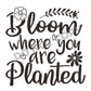 Bloom Where You Are Planted -DTF Transfer - Picasso Print