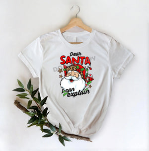 Dear Santa I Can Explain -DTF Transfer - Picasso Print