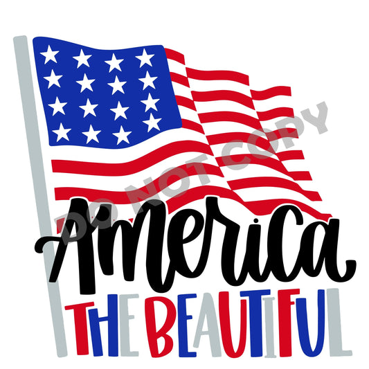 America The Beautiful -DTF Transfer - Picasso Print
