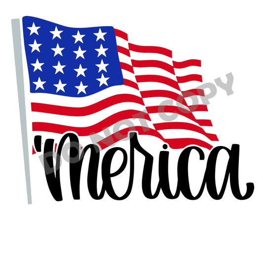 'Merica Flag -DTF Transfer - Picasso Print